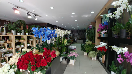 Hüseyin Avni Özkan Luxury Flowers and Events
