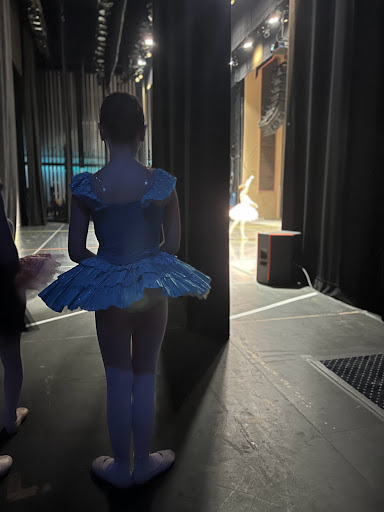 Non-Profit Organization «Greater York Dance - Midstate Ballet», reviews and photos, 3524 E Market St, York, PA 17402, USA