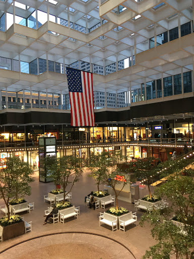 Shopping Mall «Gaviidae Common», reviews and photos, 651 Nicollet Mall #125, Minneapolis, MN 55402, USA