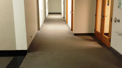 Allpurpose Carpet Repair