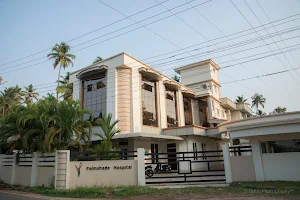 Palmshade Hospital image