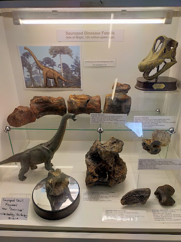 Reviews of Dinosaur Expedition Centre in Newport - Museum