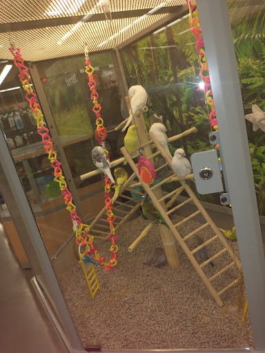 Pet Supply Store «Petco Animal Supplies», reviews and photos, 1520 N Parham Rd, Henrico, VA 23229, USA