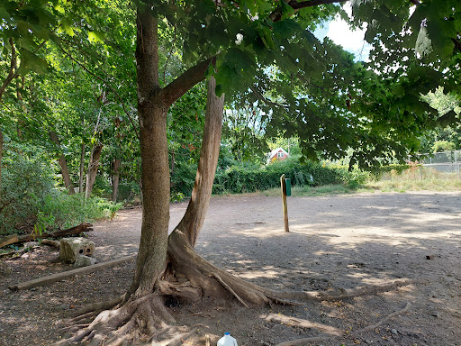 Dog Park «Waterman St. Dog Park», reviews and photos, 320 Waterman St, Providence, RI 02906, USA