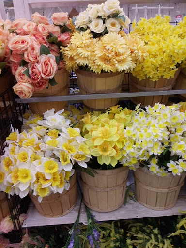 Craft Store «Michaels», reviews and photos, 17225 Cole Rd #2, Hagerstown, MD 21740, USA