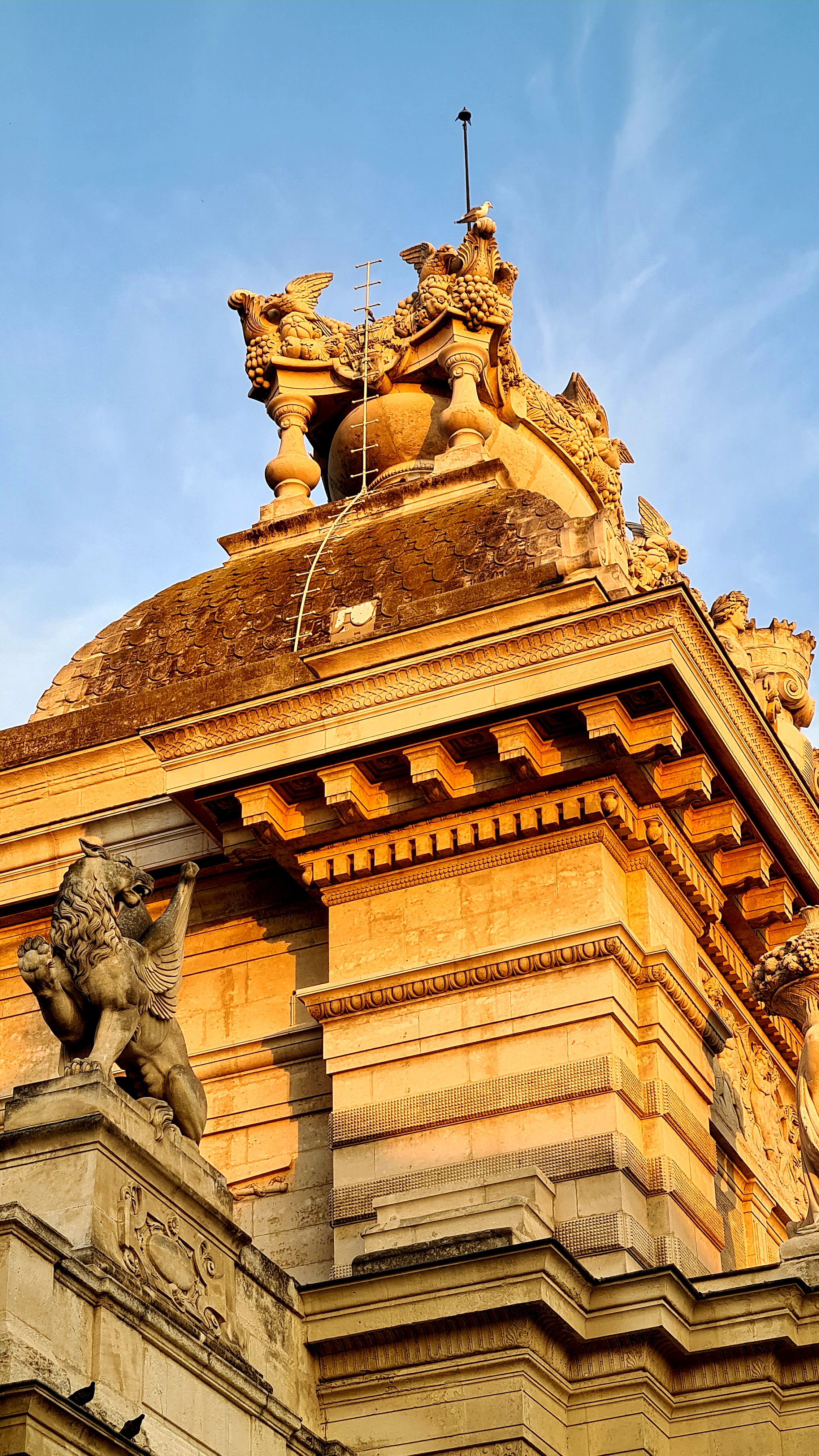 Photo n° 16 de l'avis de Angy.P fait le 26/08/2021 à 11:10