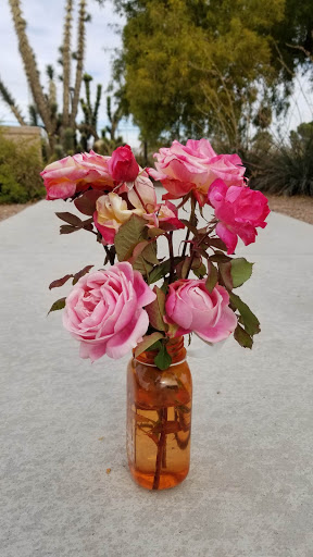 Park «Lorenzi Park», reviews and photos, 3343 W Washington Ave, Las Vegas, NV 89107, USA