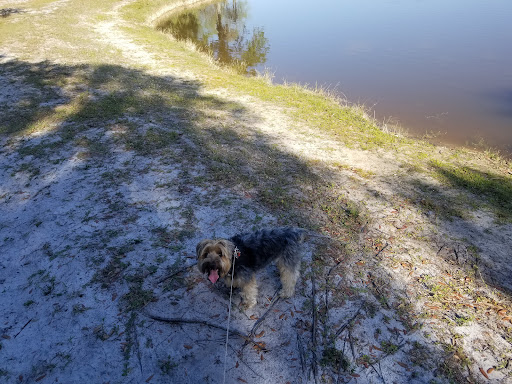 Recreation Center «Estero Recreation Center», reviews and photos, 9200 Corkscrew Palms Blvd, Estero, FL 33928, USA