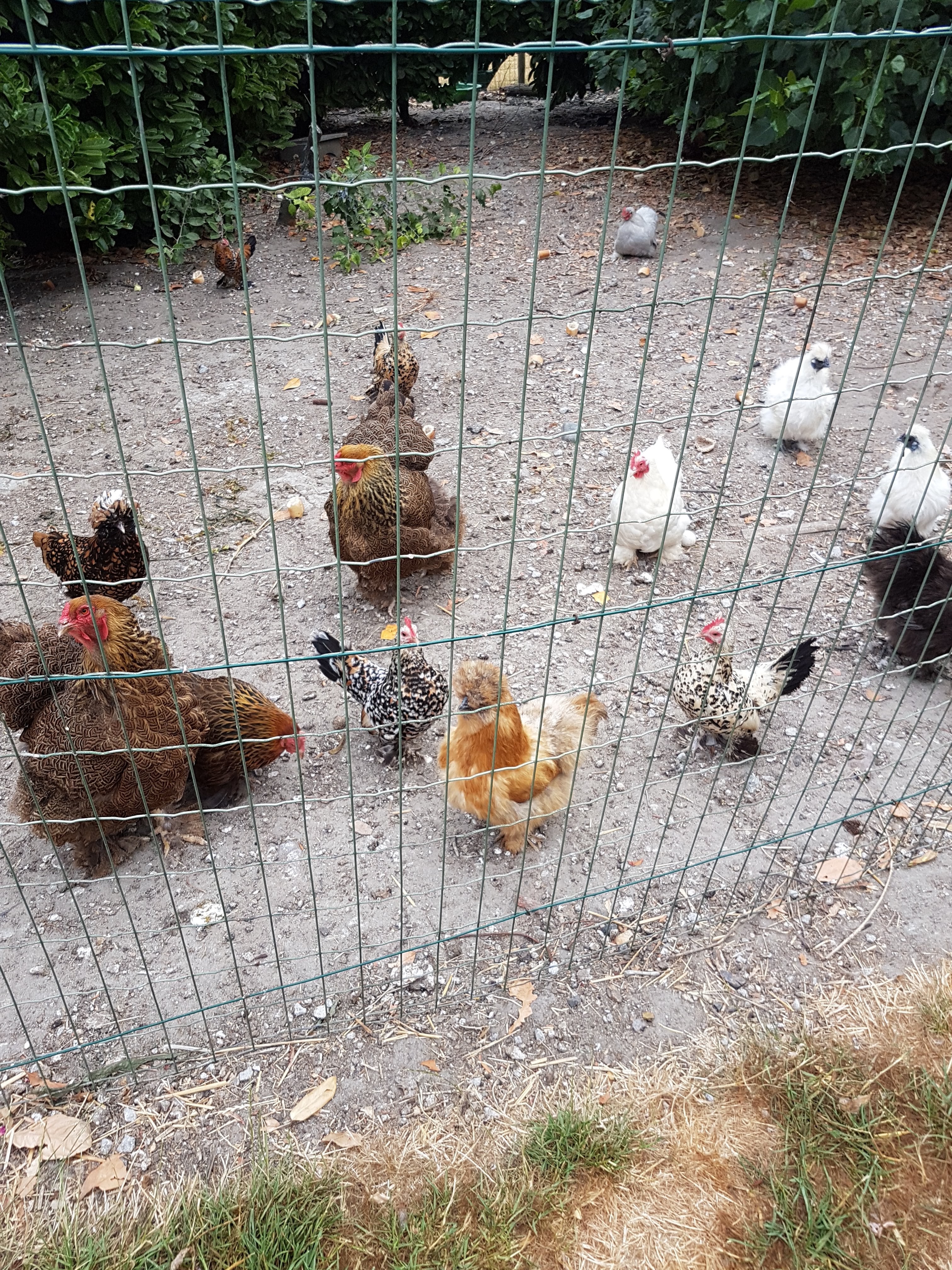 Photo n° 2 de l'avis de Pierrette.n fait le 25/07/2018 à 21:35