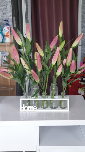 Top 1 cửa hàng bookmark Huyện Đam Rông Lâm Đồng 2022