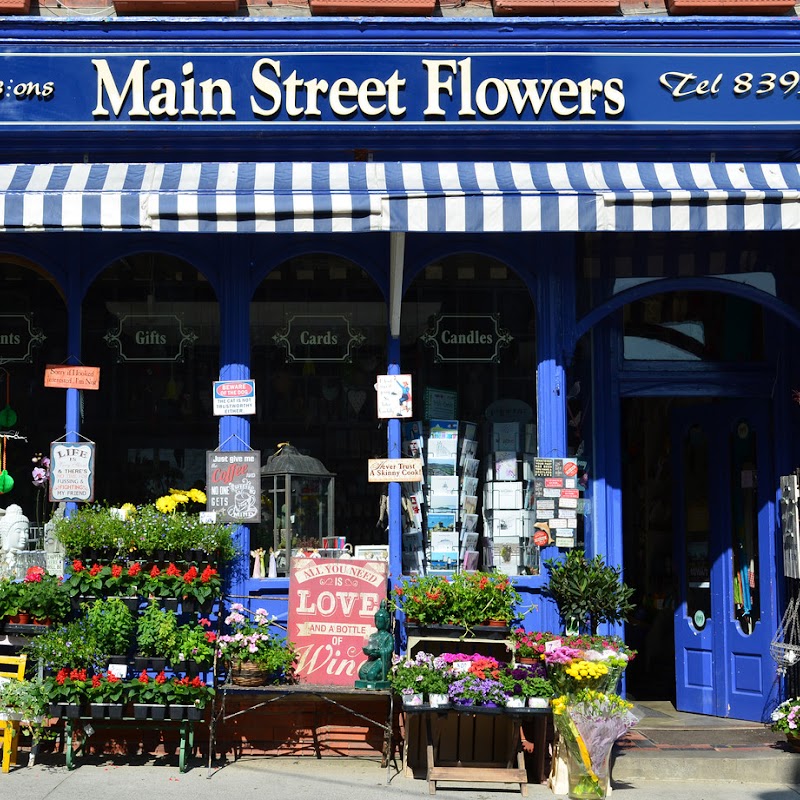 Main Street Flowers Howth