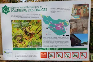 Natural Reserve of the Bog of Dauges image