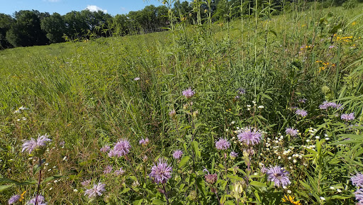 Non-Profit Organization «Aldo Leopold Nature Center», reviews and photos, 330 Femrite Dr, Madison, WI 53716, USA