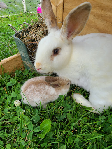 Department Store «Rural King», reviews and photos, 1141 Fort Campbell Blvd, Clarksville, TN 37042, USA