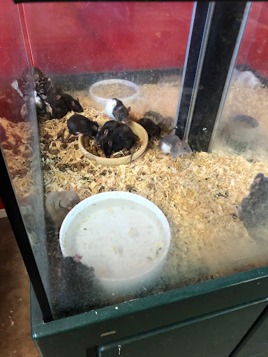 Animal Feed Store «Whittier Feed Store», reviews and photos, 12618 Penn St, Whittier, CA 90602, USA