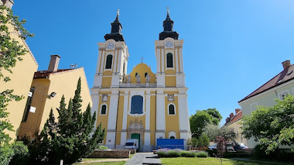 Székesfehérvári Szent István-székesegyház