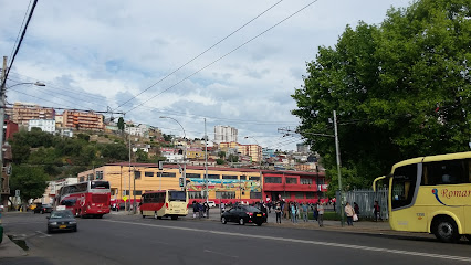 Trole Bus Valparaiso