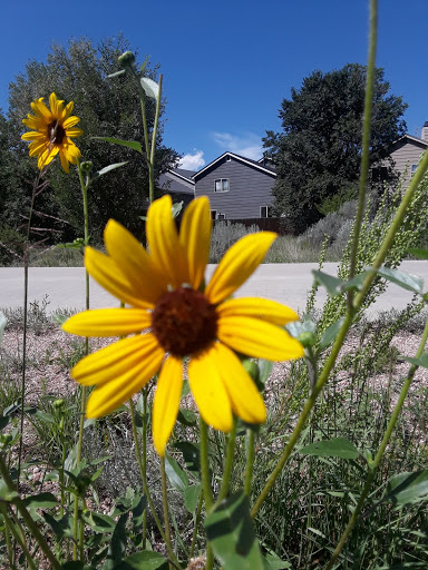 Park «Stetson Park», reviews and photos, 4870 Jedediah Smith Rd, Colorado Springs, CO 80922, USA