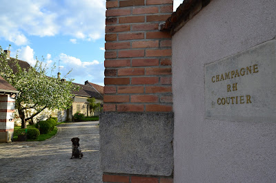 CHAMPAGNE R.H. COUTIER à Ambonnay