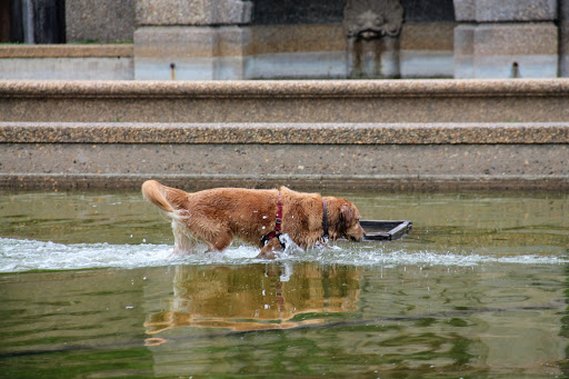 Park «Meridian Hill Park», reviews and photos, 2400 15th St NW, Washington, DC 20009, USA