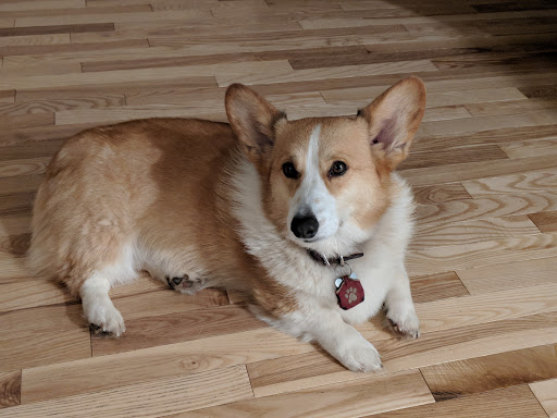 2377 Winter Creek Rd SE, Jefferson, OR 97352, USA