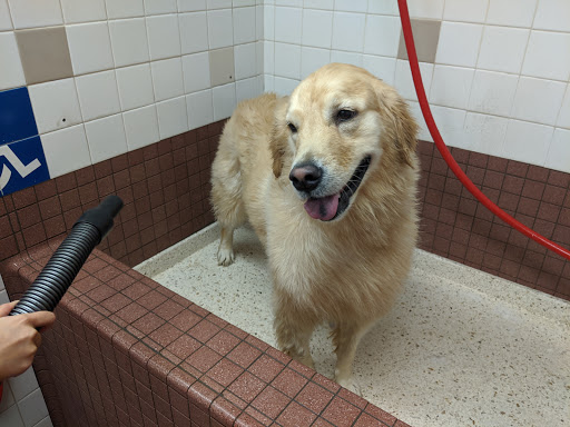 Pet Supply Store «Pet Food Express», reviews and photos, 39010 Paseo Padre Pkwy, Fremont, CA 94538, USA