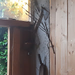 Photo n°4 de l'avis de Daniela.t fait le 17/05/2022 à 22:44 sur le  Osteria Da Jerry à Osmate