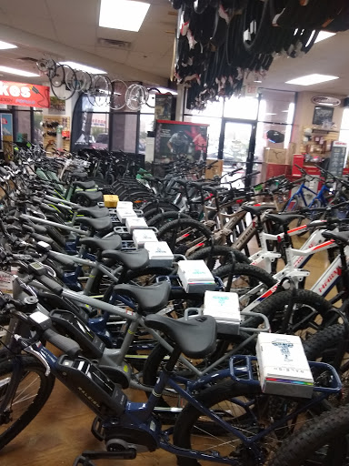 Bicycle Store «Global Bikes - Gilbert Bike Shop», reviews and photos, 835 N Gilbert Rd #111, Gilbert, AZ 85234, USA