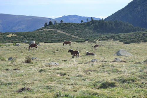 Le Ranch du Madres à Roquefort-de-Sault