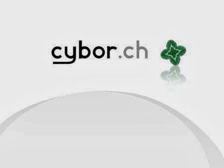 Rezensionen über Cybor SA in Sitten - Webdesigner