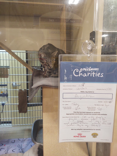 Pet Supply Store «PetSmart», reviews and photos, 19 Clifton Country Rd, Clifton Park, NY 12065, USA