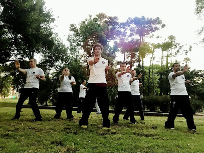 Zona De Entrenamiento Al Aire Libre de Wing Chun Y Tai Chi Chuan