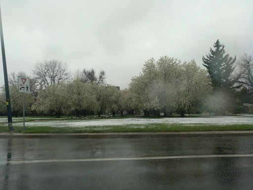 Park «Pulaski Park», reviews and photos, 3300 E Bayaud Ave, Denver, CO 80209, USA