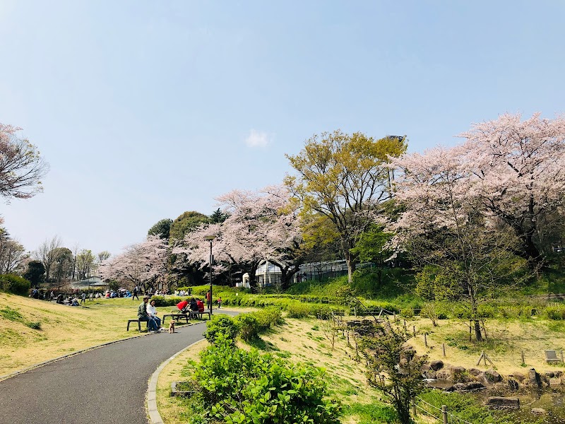 保土ケ谷公園 運動広場 神奈川県横浜市保土ケ谷区花見台 公園 グルコミ