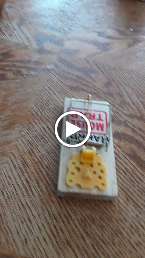 Hardware Store «Ace Hardware», reviews and photos, 5127 W Indian School Rd #131, Phoenix, AZ 85031, USA