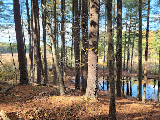 National Reserve «Assabet River National Wildlife Refuge», reviews and photos, 680 Hudson Road, Sudbury, MA 01776, USA