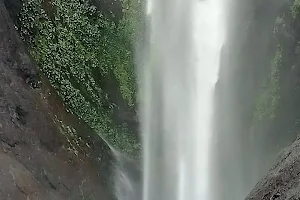 Aaliveenakuthu Waterfalls image