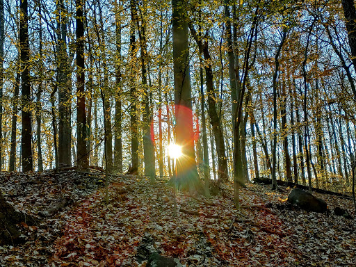 Park «Bechtel Park», reviews and photos, Naamans Rd, Claymont, DE 19703, USA