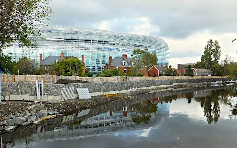 River Dodder image