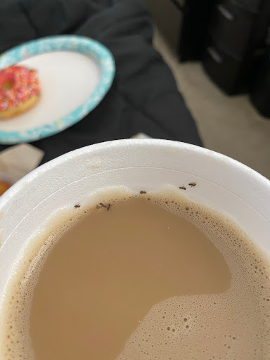 Donut Shop «Grand Slam Donuts», reviews and photos, 10078 Arrow Rte # B, Rancho Cucamonga, CA 91730, USA