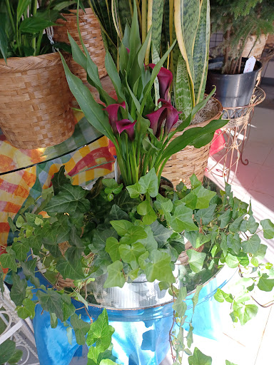 Florist «Gallatin Flower & Gift Shoppe», reviews and photos, 213 W Main St, Gallatin, TN 37066, USA