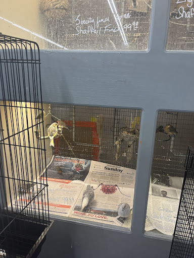 Pet Store «Sierra Fish and Pets», reviews and photos, 601 S Grady Way Suite M, Renton, WA 98057, USA