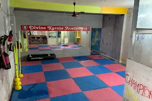 Divine karate academy image