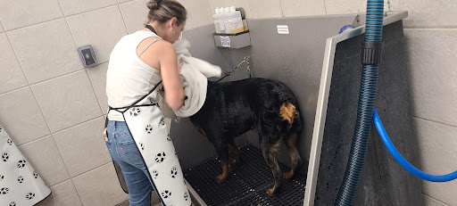 Pet Supply Store «Pet Supplies Plus», reviews and photos, 977 Atlantic Blvd, Atlantic Beach, FL 32233, USA