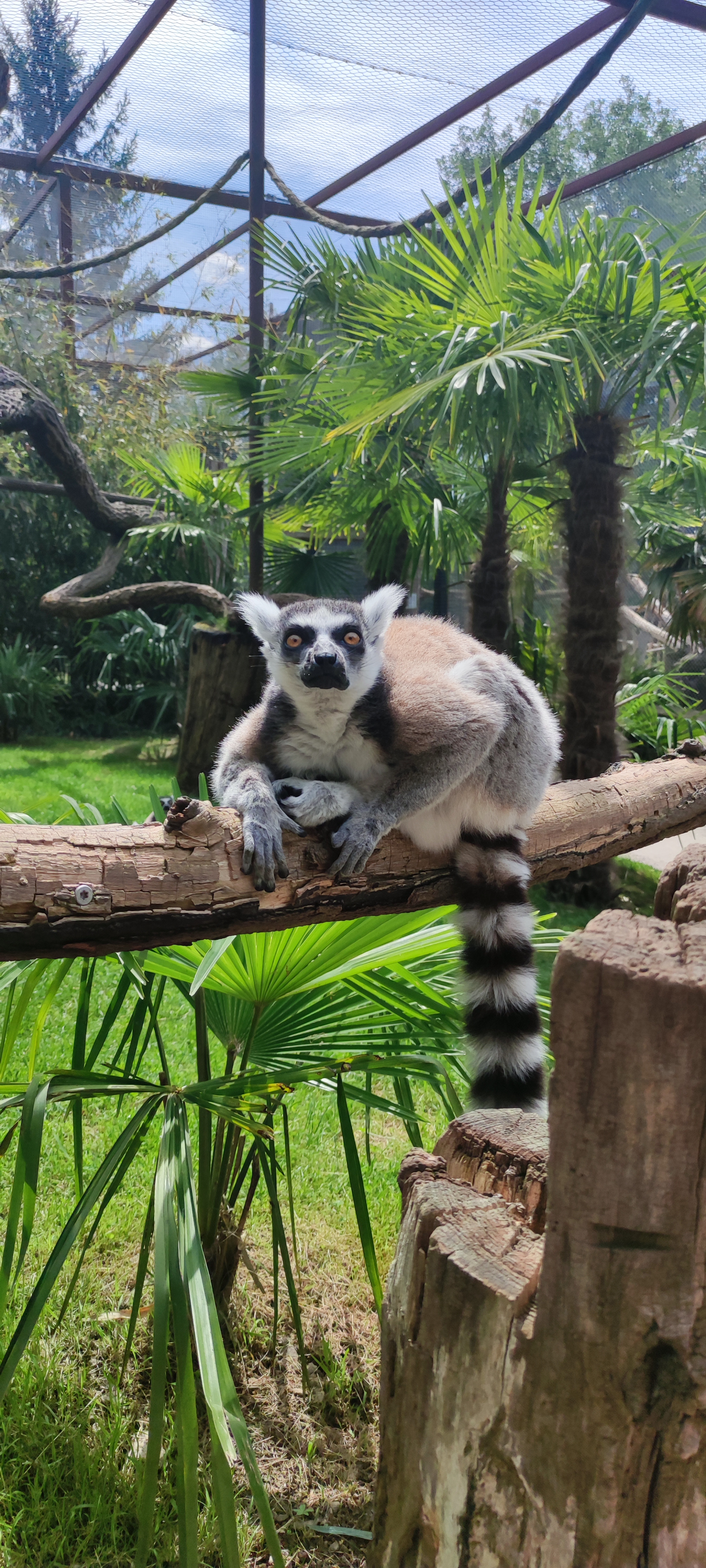 Photo n° 1 de l'avis de sandrine.e fait le 11/06/2022 à 19:03