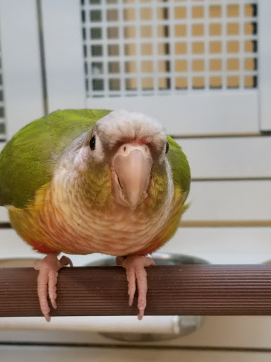 Pet Supply Store «PetSmart», reviews and photos, 13337 Worth Ave, Woodbridge, VA 22192, USA