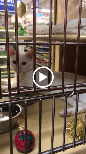 Pet Supply Store «PetSmart», reviews and photos, 9905 E Independence Blvd, Matthews, NC 28105, USA