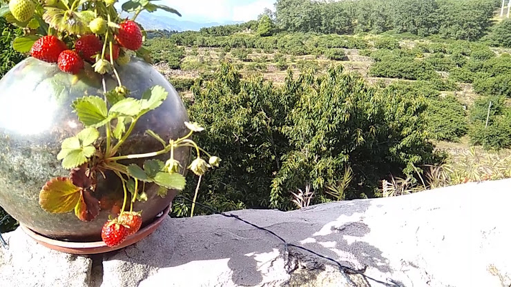 Vidéos hôtels El Pajar de Tía María 10616 Casas del Castañar