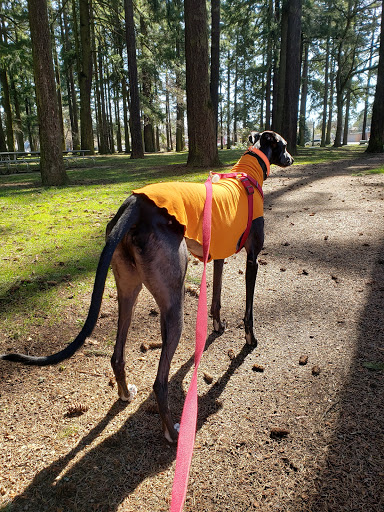 Park «Mt. Scott Park», reviews and photos, SE 72nd Ave & Southeast Harold Street, Portland, OR 97206, USA