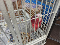 Feathered Friends & Co. - Photo 9 - Car repair in Corpus Christi, TX, Corpus Christi